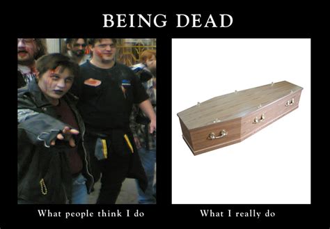 Best Dead Meme Songs 的图像结果