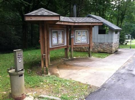 Curtis Creek Campground NC: Camping Reservations & Rates
