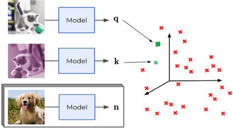 Image result for Supervised Contrastive Learning