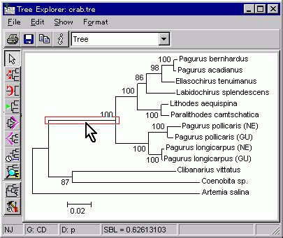 TreeExplorer 2.12 进化树绘制显示软件|进化分析软件|生物软件网