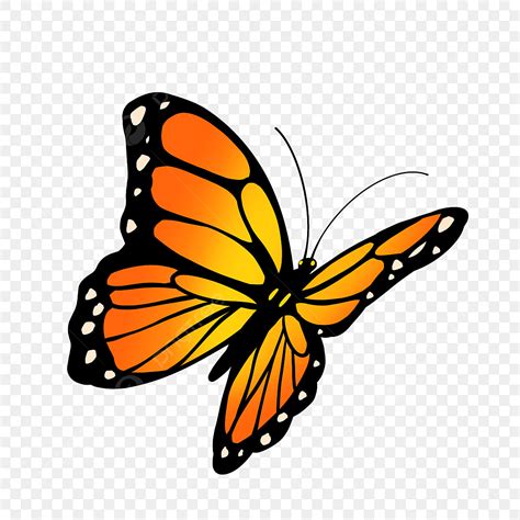 Blue Monarch Butterfly Clipart Transparent PNG Hd, Cartoon Style Orange ...