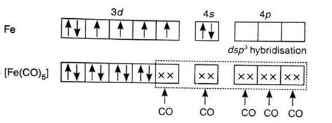 [Best Answer] using VBT explain the geometry and magnetic behaviour of ...