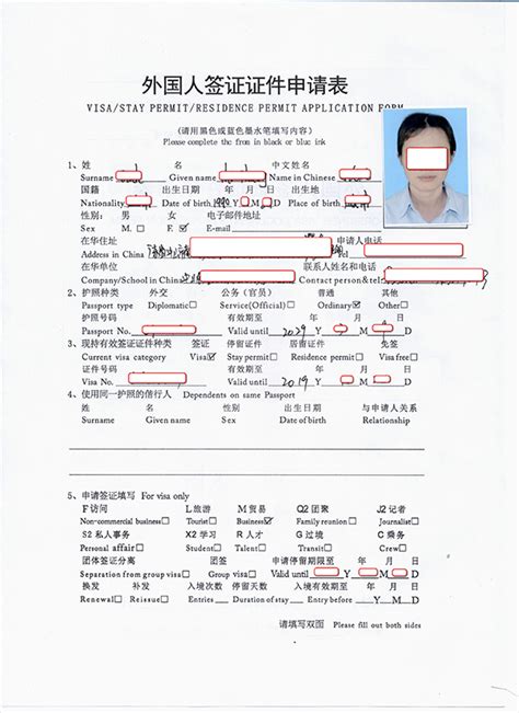 外国人签证申请表
