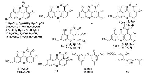 A Brief Review of Bioactive Metabolites Derived from Deep-Sea Fungi