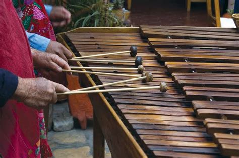 Image result for Rare Musical Instruments