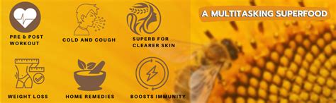 The Honey Company Little Bee Raw Honey 350g 100% Pure Natural Raw ...