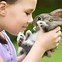 Image result for Types of Pet Rabbit Breeds