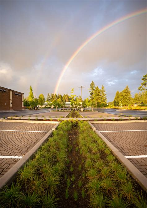 Sequoia Stonescapes // Grocery Outlet // Veneda Oregon Commercial ...
