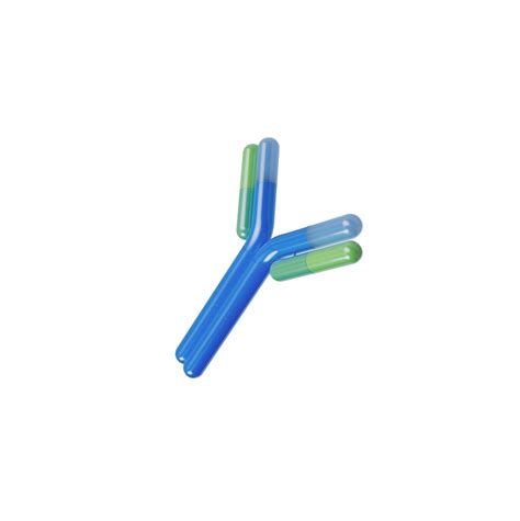 Affinity Purification 的图像结果