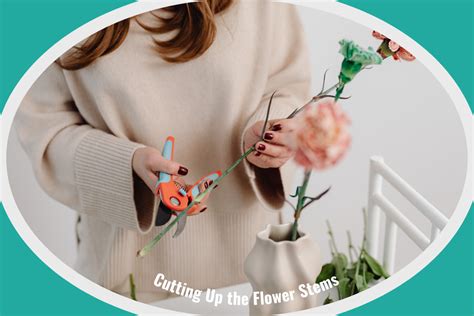 Image result for Using Compost When Planting Flowers