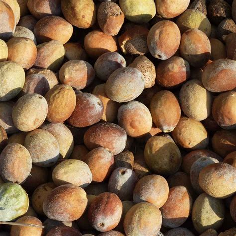 Kenya--buhle - Best photos on dibujosparaimprimir.net