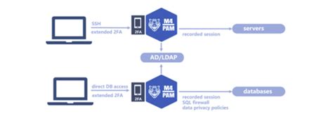 Image result for Pam Prople Administration Module Payroll