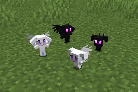 Image result for Minecraft Crow Mod