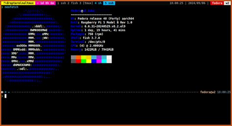 Image result for Raspberry Pi Fedora