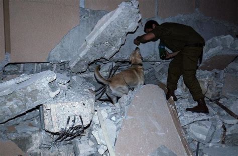 Army Dog Kent Dies Protecting Handler In J&K Encounter