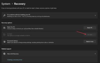 Fix Microsoft Basic Display Adapter 的图像结果