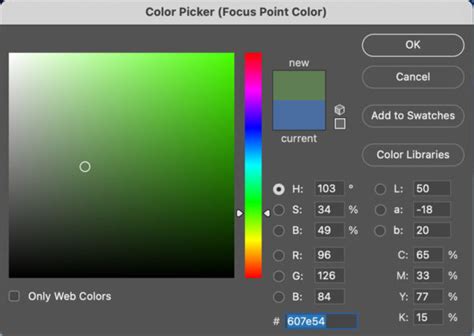 Photoshop CS2 Colorize 的图像结果