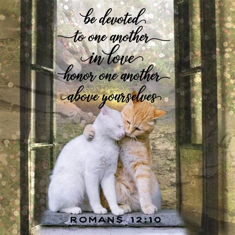 Pin by Shirley Copeland on Cat Bereavement Quotes 😿😿😿 ...