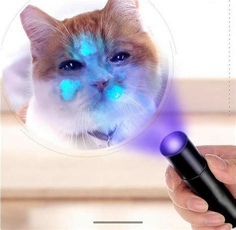 Riveira Plastic UV 365nm Fungus Test Lamp, Handheld Cat Ringworm ...