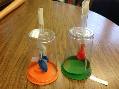 Image result for Lung Model Science Fair