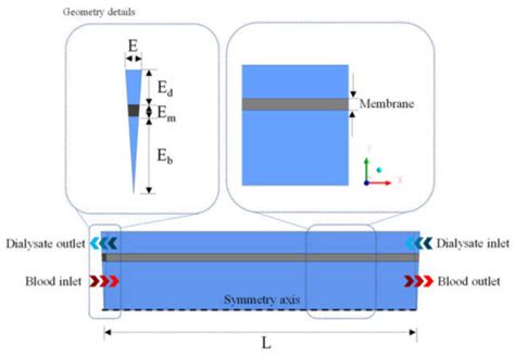 Investigating the Dialysis Treatment Using Hollow Fiber Membrane: A New ...