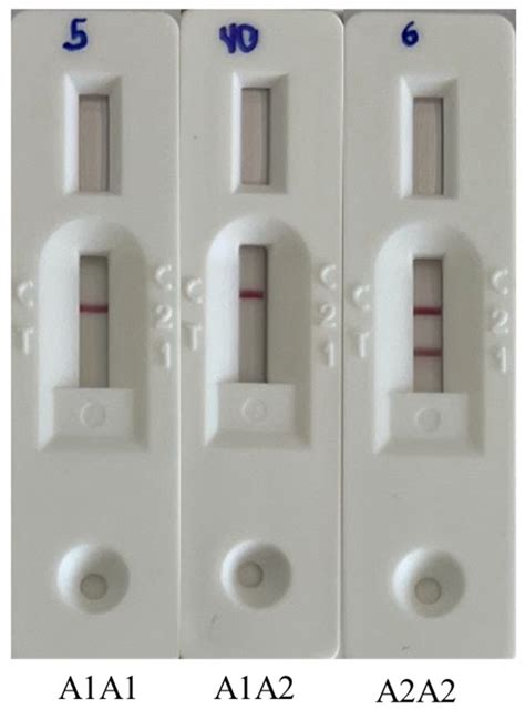 Comparative Analysis of Rapid and Less Invasive Methods for A2A2 Dairy ...