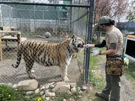 Lead Zookeeper Salary at Mackenzie Boehm blog