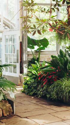 First garden series: 10 things people need to start their first balcony ...