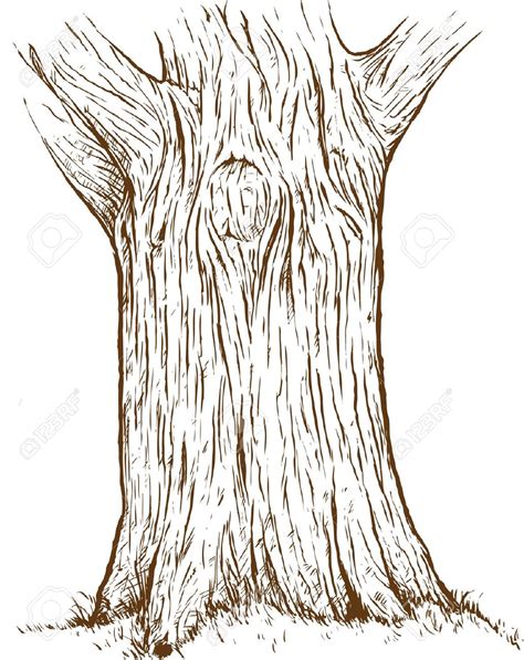 Image result for Tree Bark Simple Drawing