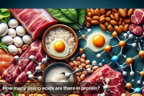 Discover the Number of Amino Acids in Protein – Lo! Foods