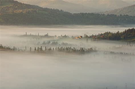 Image result for SQL Misty