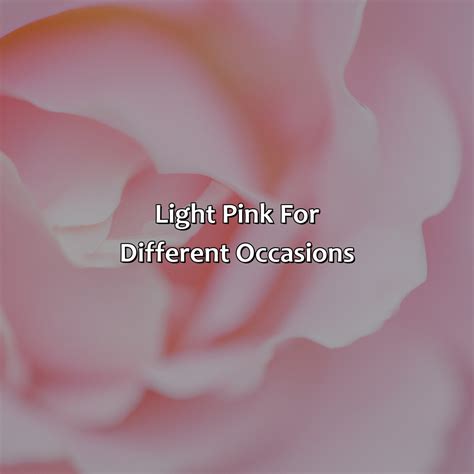 Different Shades Of Light Pink - colorscombo.com