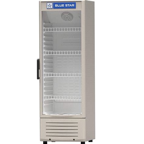 Buy Blue Star SC300F 300L Single Door Visi Cooler (Grey) at Online ...