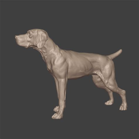 3D file Dog Statue・3D printing template to download・Cults