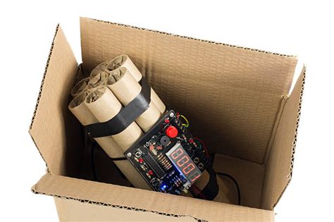 Using Detonator Box 的图像结果