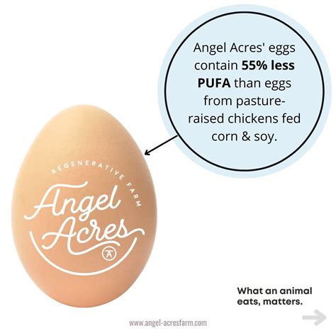 Angel Acres (@angel__acres) • Instagram photos and videos