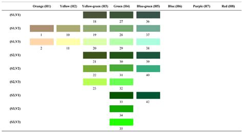 Constructing a Forest Color Palette and the Effects of the Color Patch ...