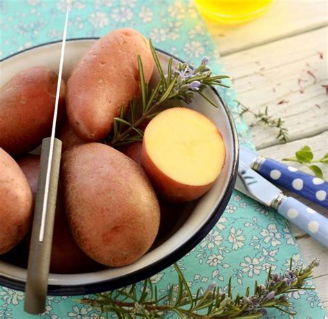 Beginning Cooking 的图像结果