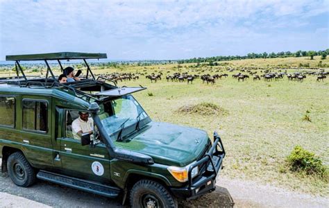 Image result for CBeebies Safari Promo