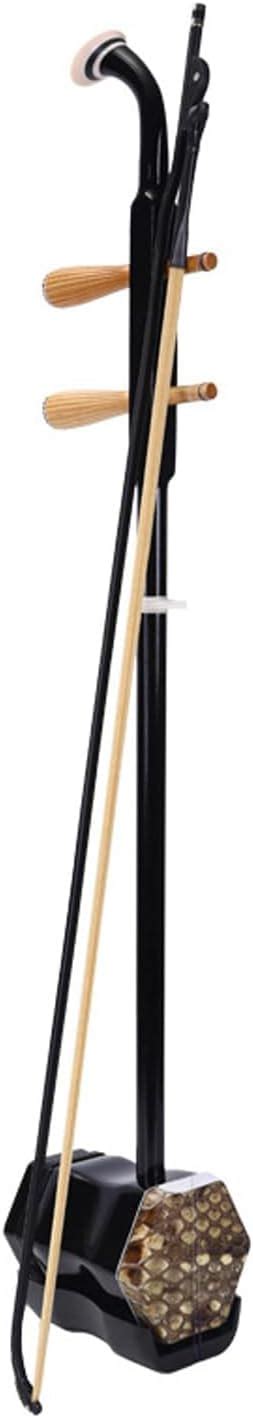 Image result for 2 Stringed Instrument