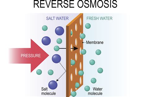 Reverse Osmosis: What Is It, How It Works, & Should You Have It