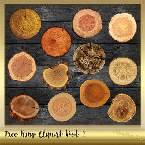 Image result for Tree Ring Cartoon