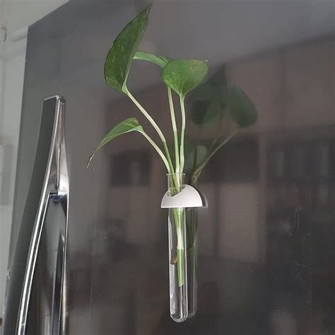 Surji Magnetic planters for Refrigerator, Table and Home Decor : Amazon ...