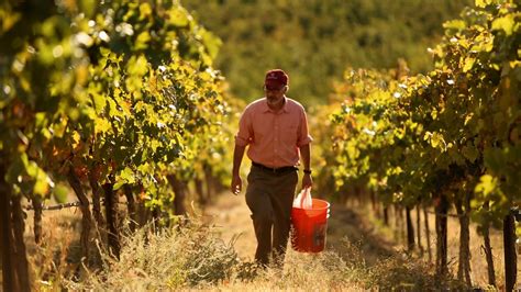 Brian Carter Cellars: Combining Art and Science - Dallaswinechick