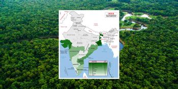 Top 10 Mangrove Forests in India: Coastal Ecosystems – Grow Billion Trees
