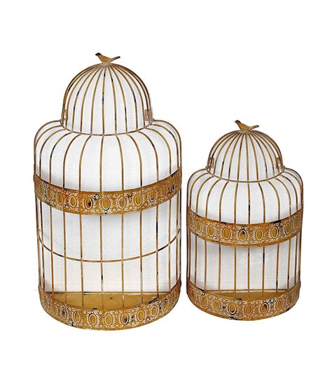 Privilege 18398 Wall Decor-Bird Cage Planter, 2-Piece : Amazon.in: Home ...