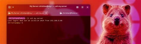 Fedora 43 is uit met Gnome 49-desktop en nieuwere Linux-kernelversie ...