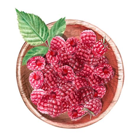 Wooden plate with raspberries in watercolor illustration on a white ...