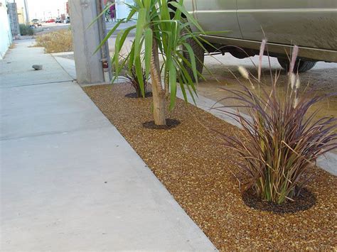 Tree Well Sign 的图像结果