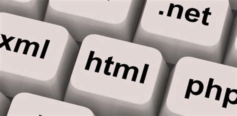 HTML Quiz Questions 的图像结果